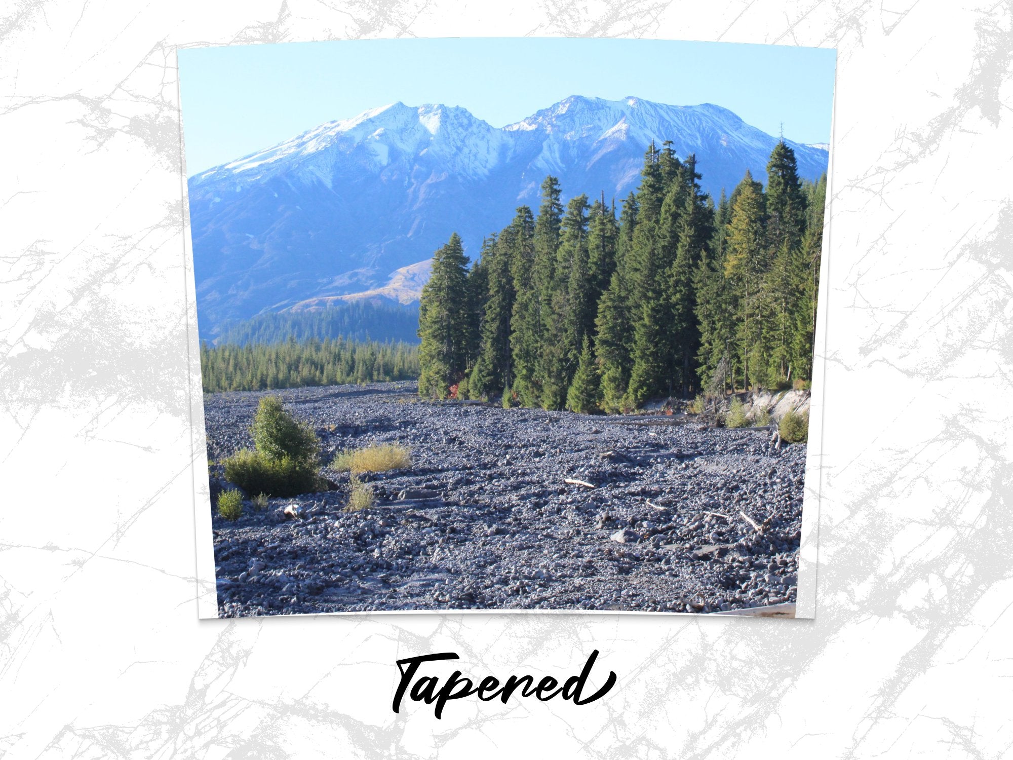 859c808e-4f45-41bd-b972-49d5d054c479