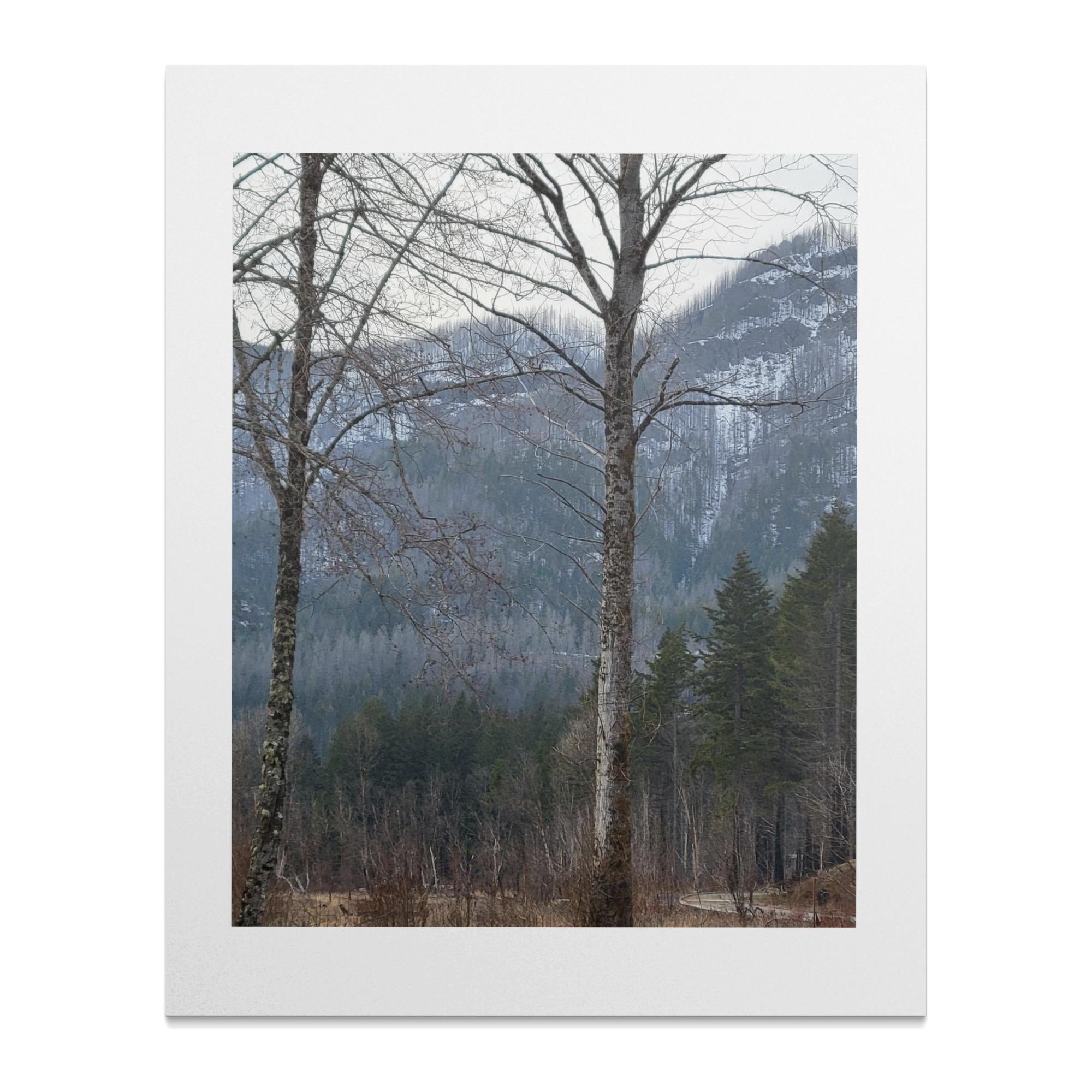 85a057e1-05d4-44a0-a4e5-ffb678d4d836