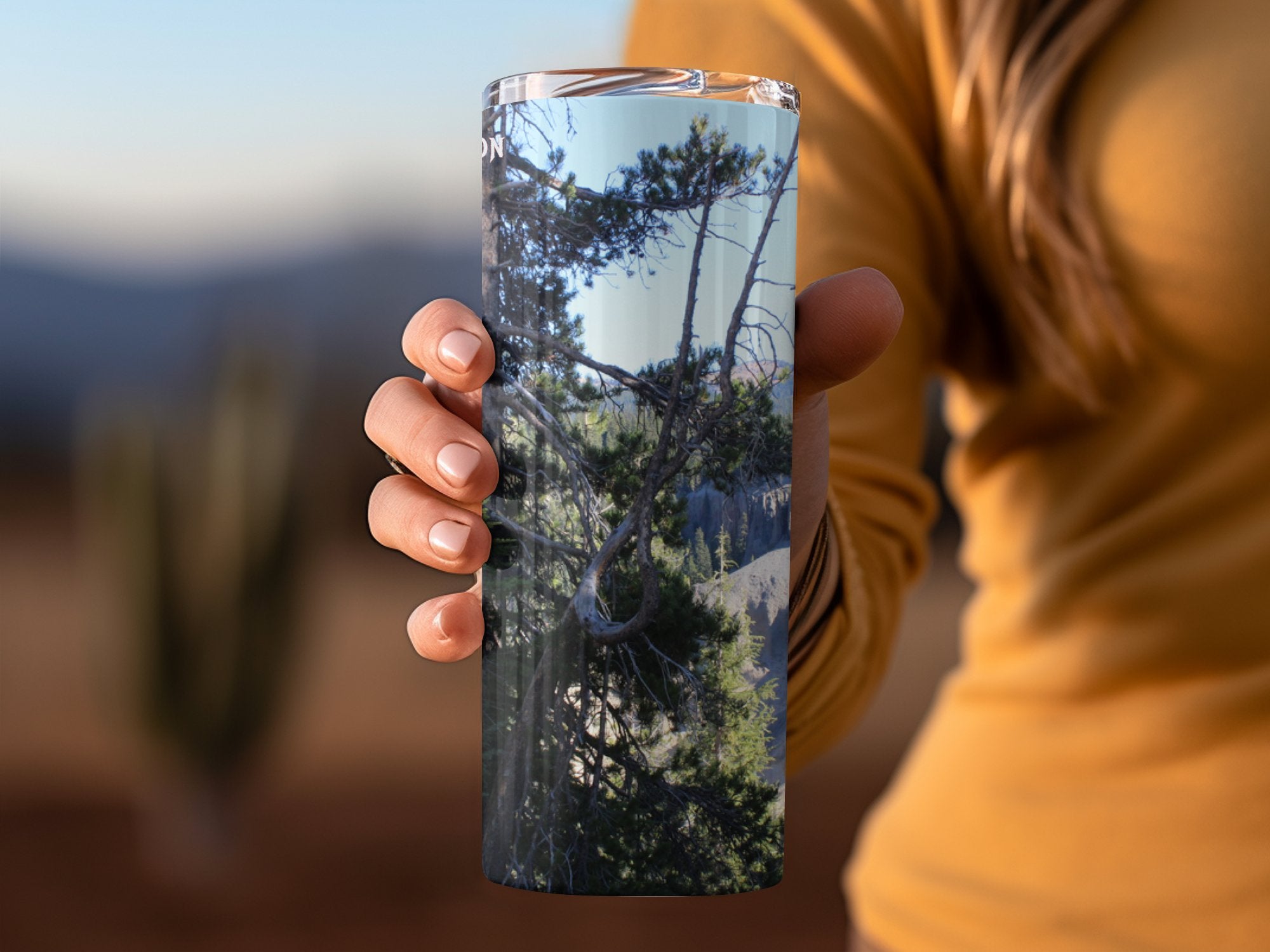 85df237b-7f89-4c31-a42e-80186964402e