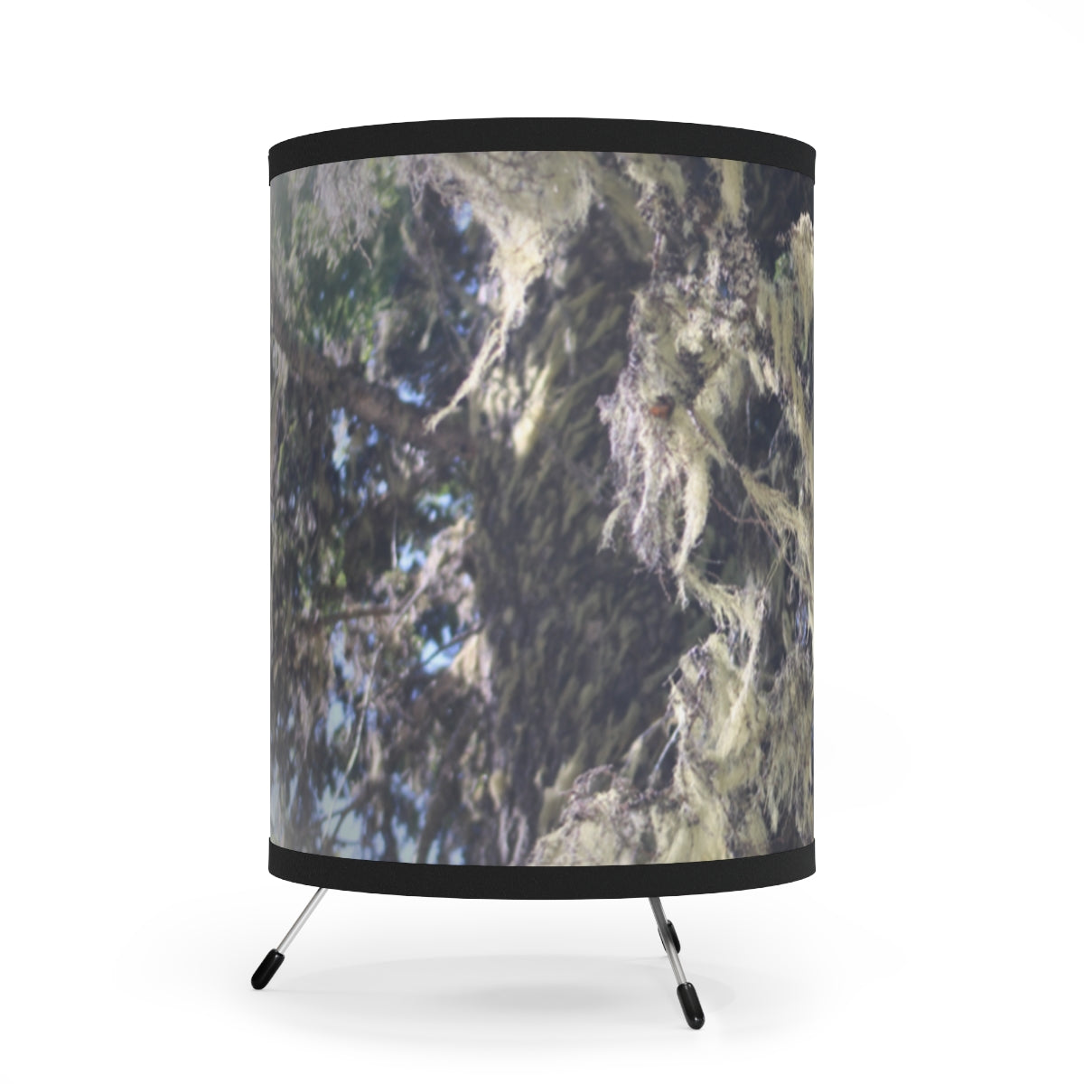 Modern Abstract Art Design Nature Inspired Lampshade
