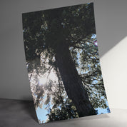 869ae7c9-10e7-4f52-9dc6-7162b13c5e39