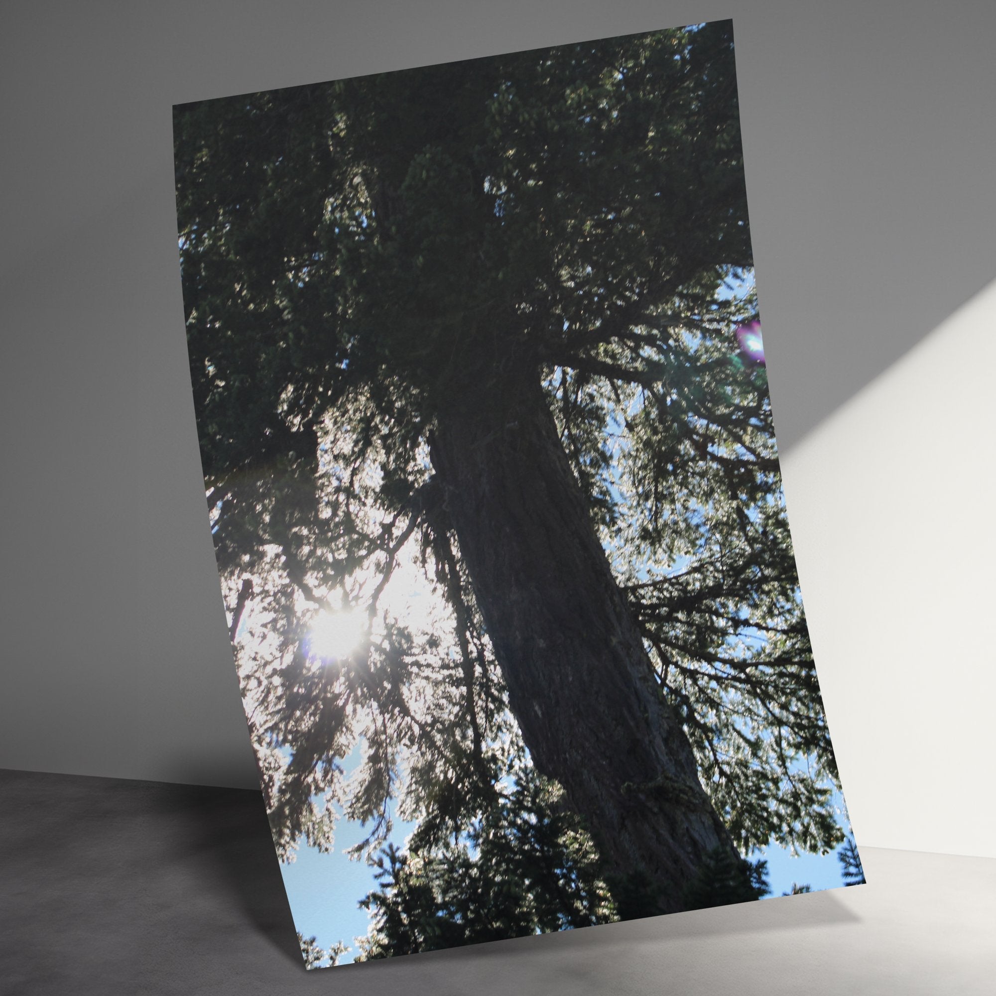 869ae7c9-10e7-4f52-9dc6-7162b13c5e39