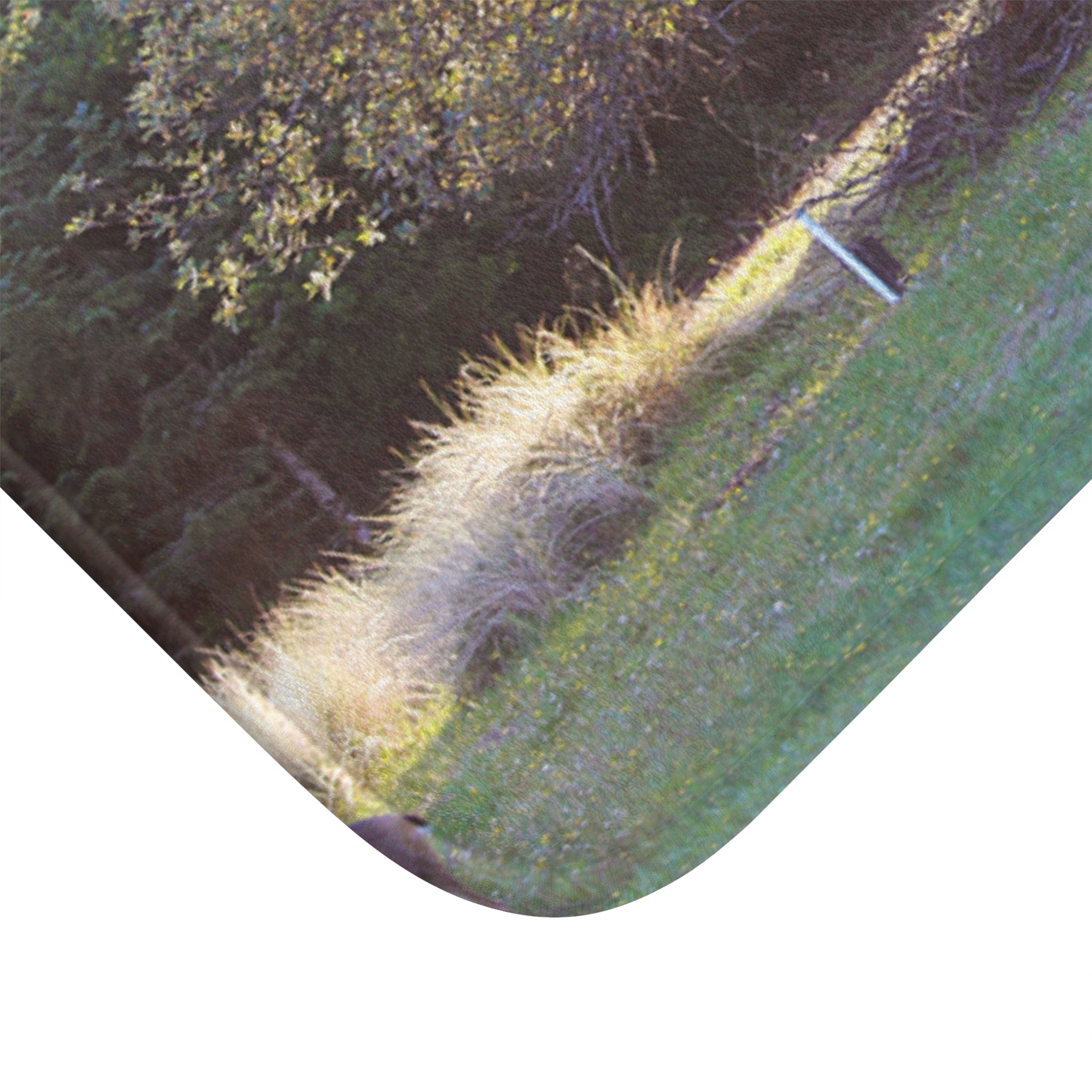 Beautiful Natural Scene Print Accent Mat product