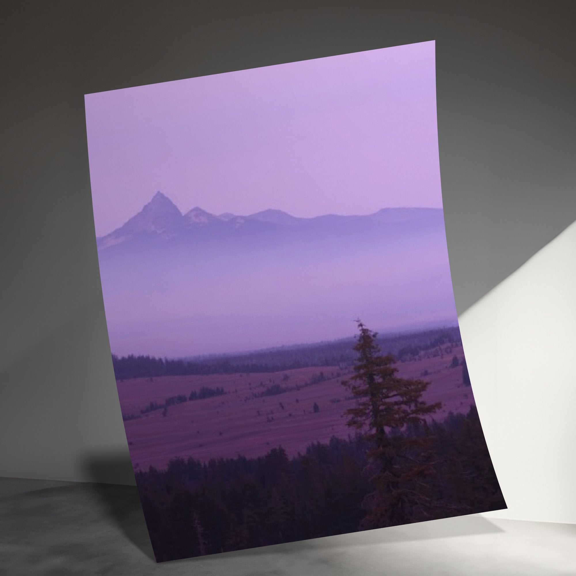 86d71618-ae3d-4aca-87d9-734f9cdfdc77