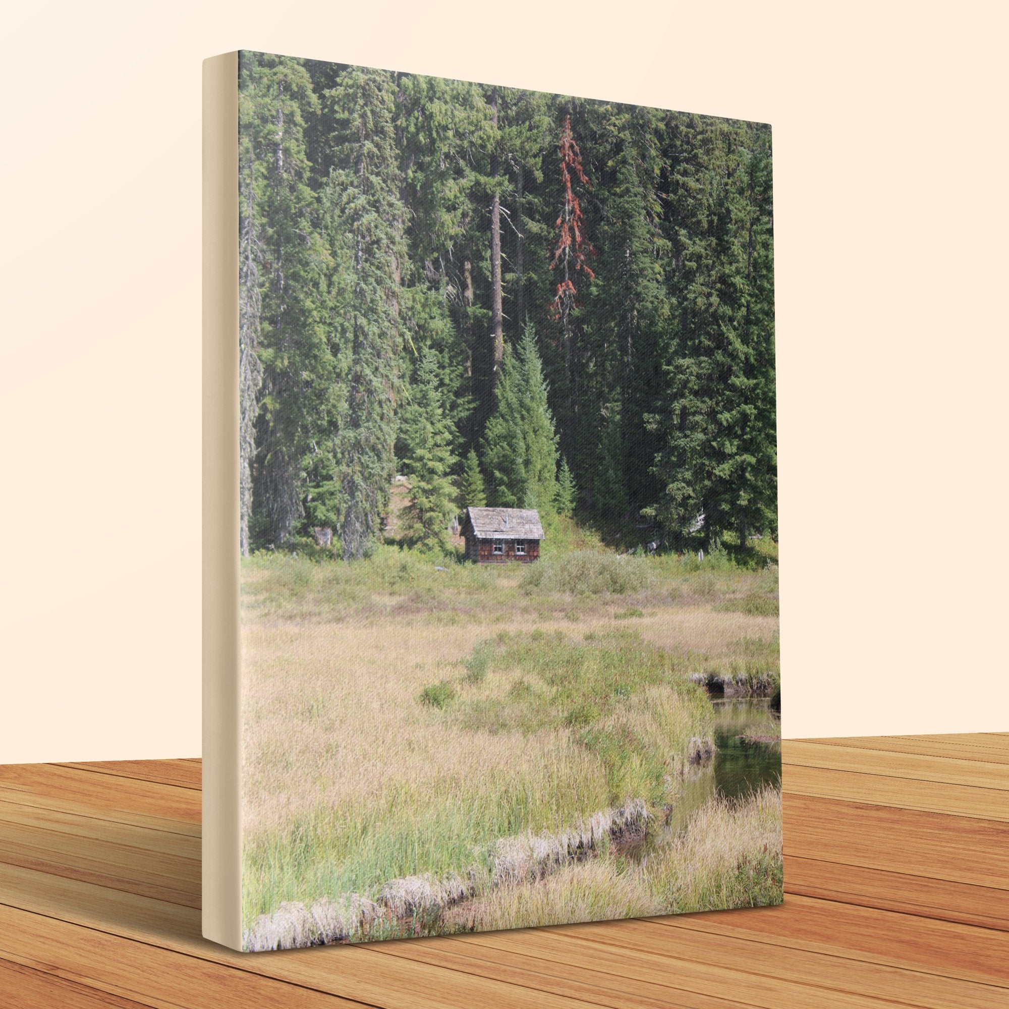 872d5b54-0706-41b1-8c57-470636d04180