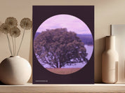 872edf85-3e32-4005-8235-3cb48db4b315