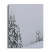 8777a4dd-584c-4495-98b3-203fa4ccd5b7