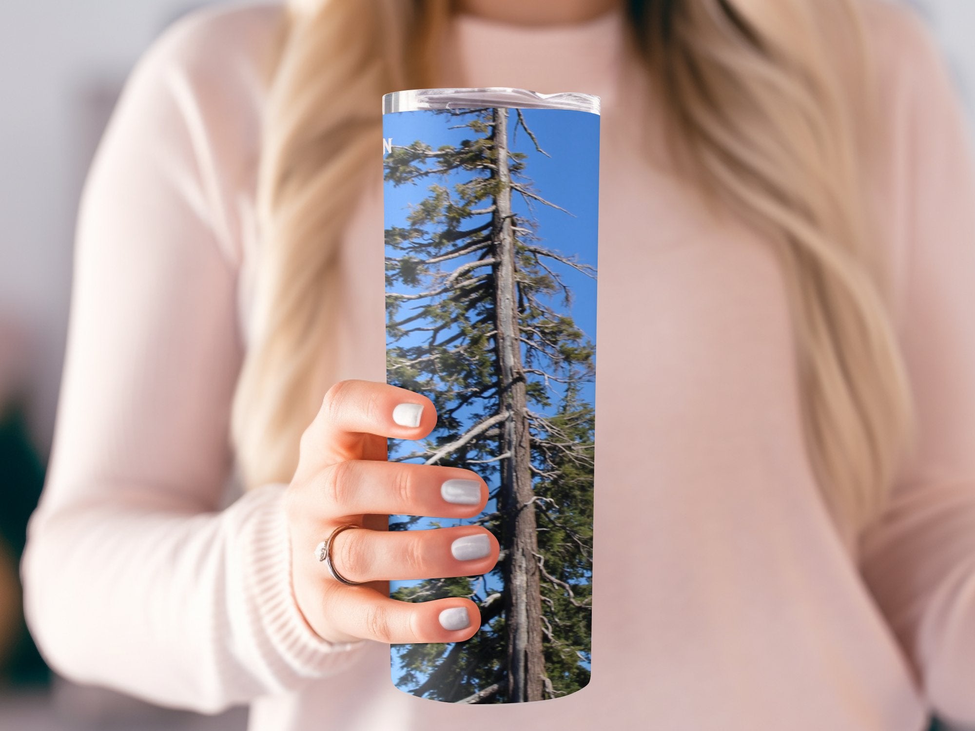 87ac90c4-c5e5-44e4-869a-b338ebc8120a