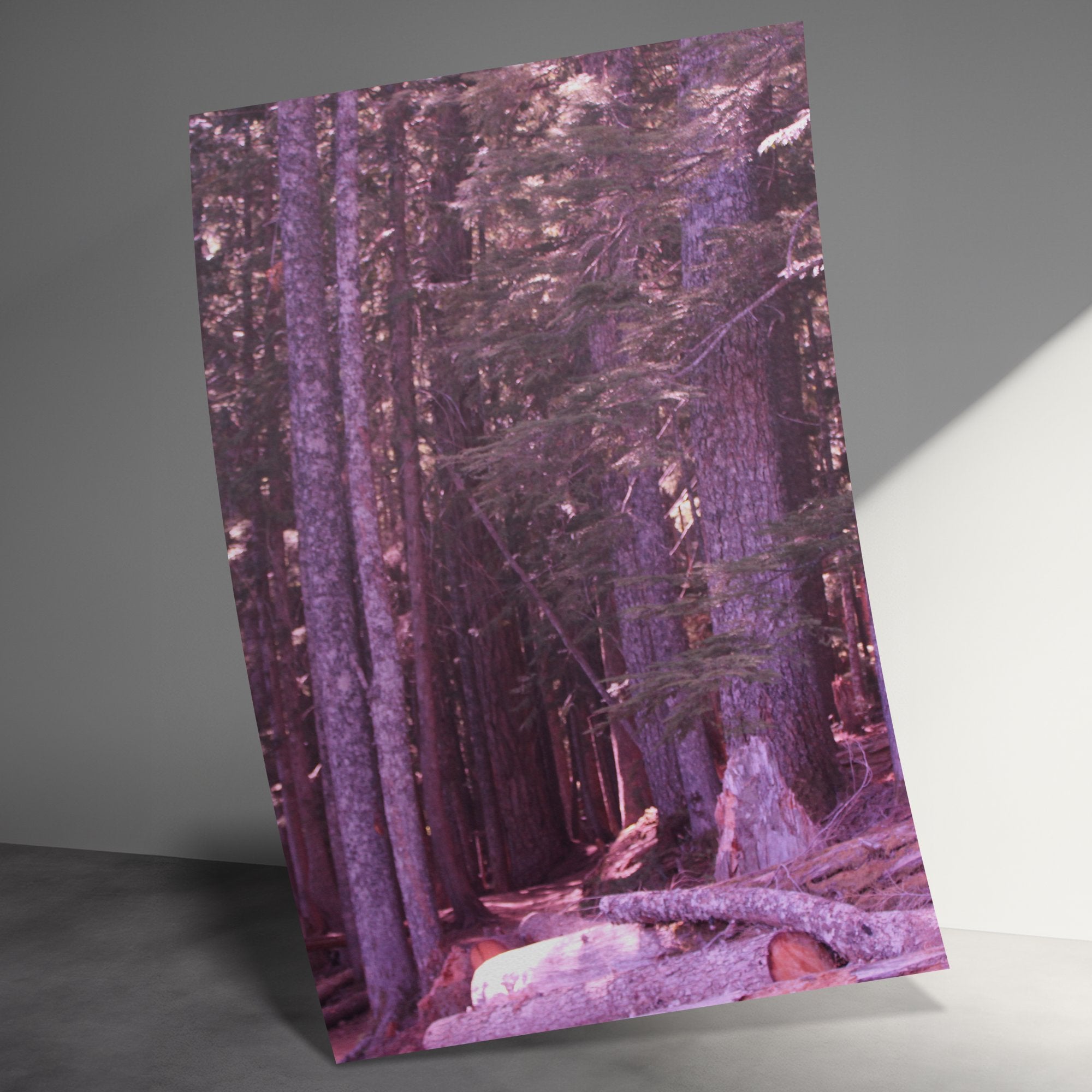 88f8faa3-a114-4000-817e-d94c28cdb118