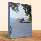 8a9afe25-eb72-4931-9320-ec05fc5590c9