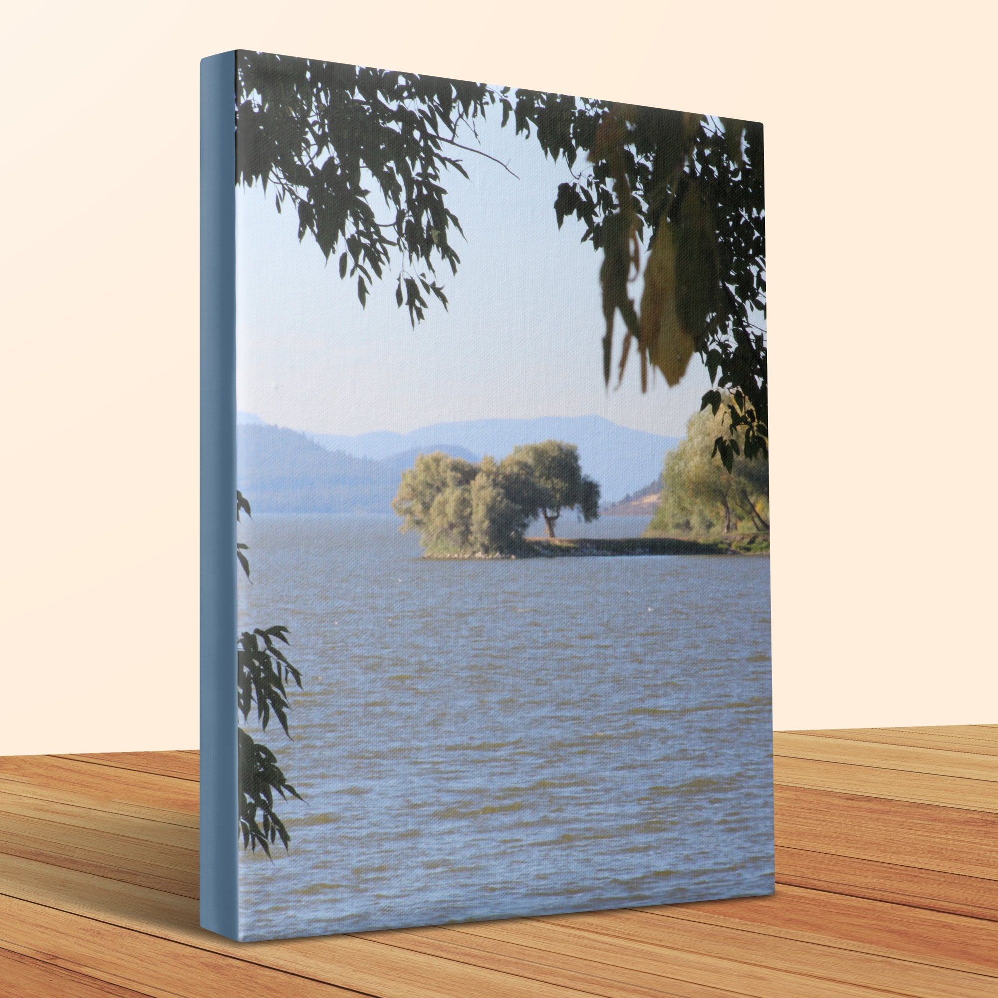 8a9afe25-eb72-4931-9320-ec05fc5590c9