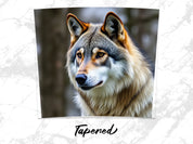 8aab2373-a81a-403c-8e40-6a77c7fed84b