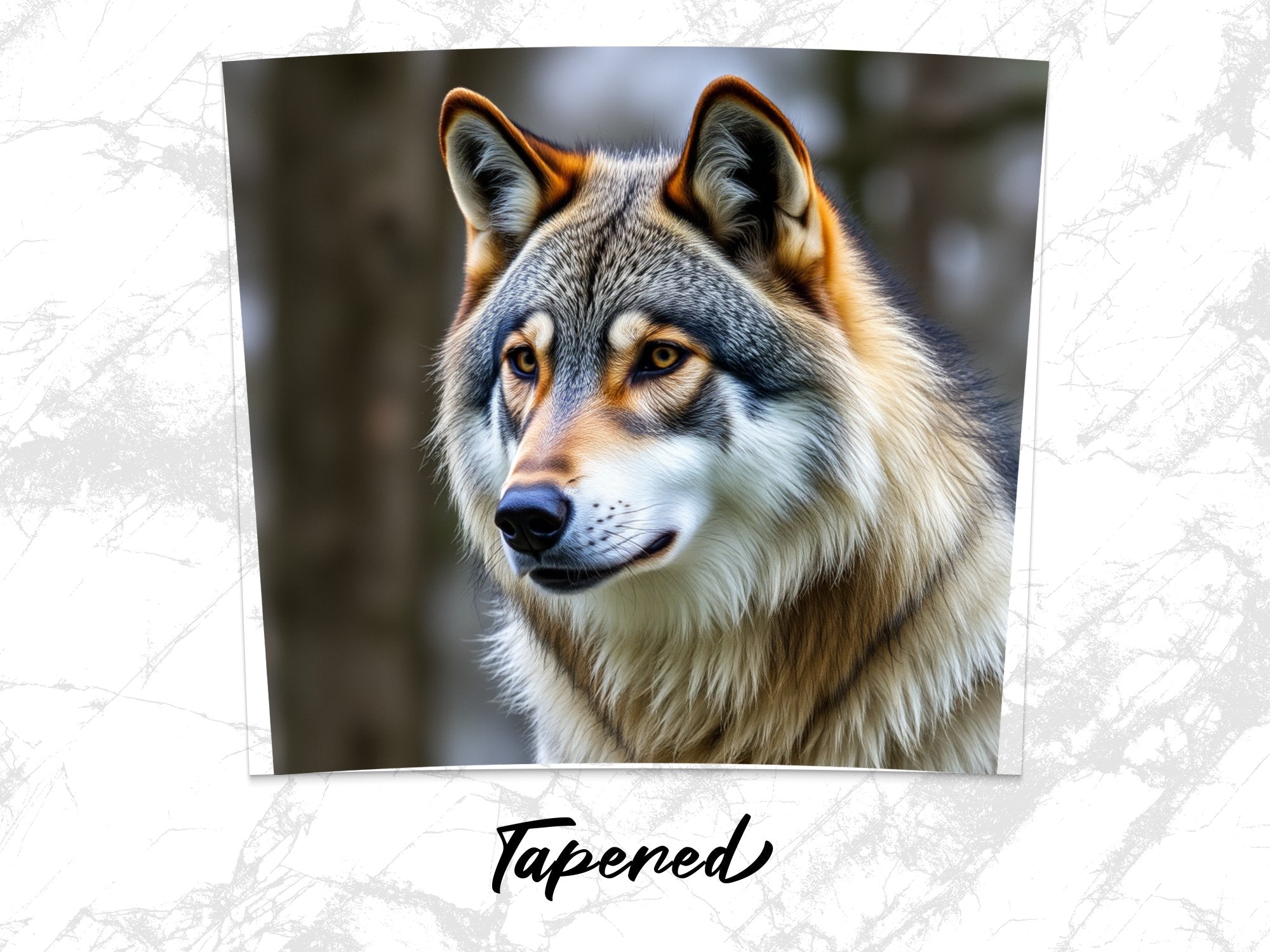 8aab2373-a81a-403c-8e40-6a77c7fed84b