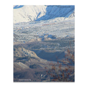 8ac8c7cc-838e-46d7-affa-18a36af57dca