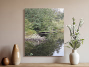 8b008ac4-dfe8-477d-ab52-5c1feeee269b