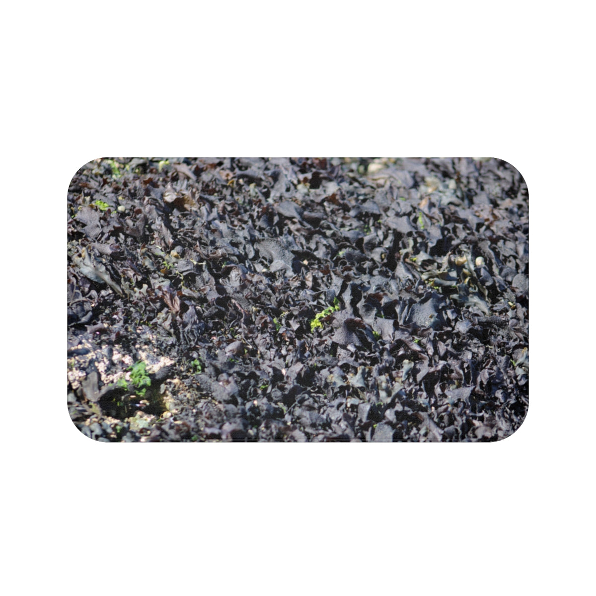 Vibrant Realistic Ocean Inspired Shower Curtain