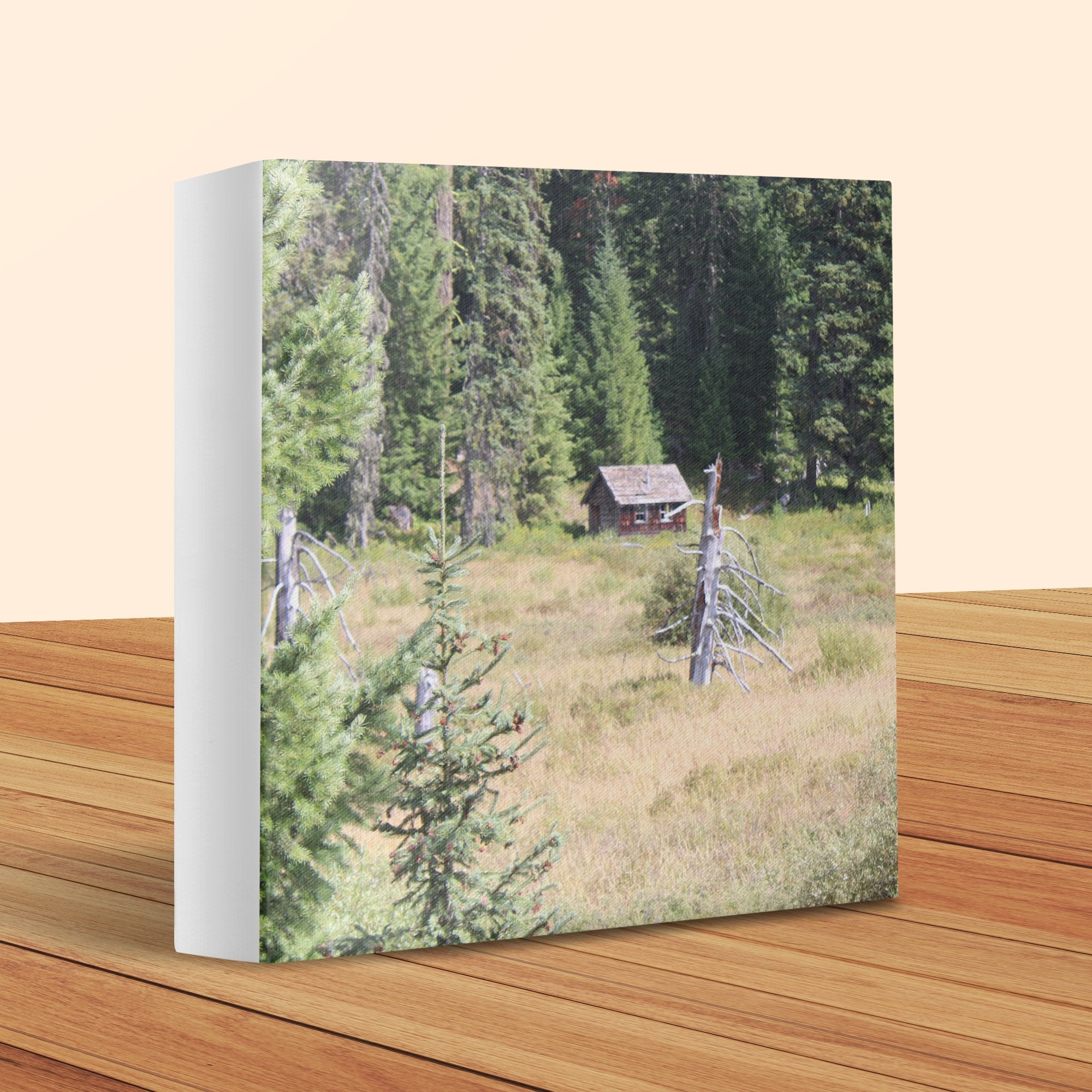 8b43b9ac-cf04-4b41-a1f2-ba49a2eda326