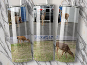 8bc5056f-e318-4c33-be3a-ac6520b59480