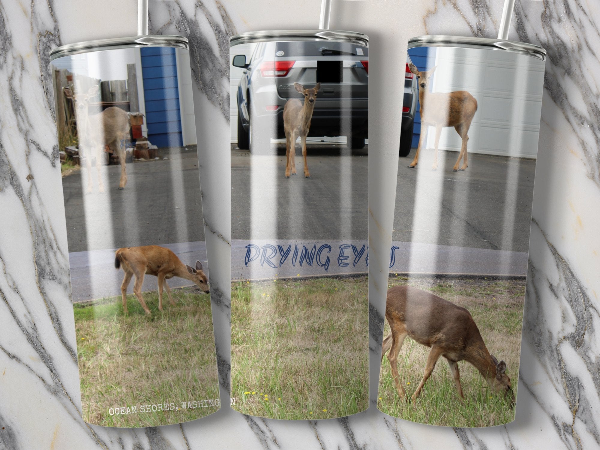 8bc5056f-e318-4c33-be3a-ac6520b59480