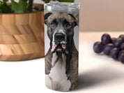 8c147a1b-ea72-43ed-8ba5-755d4ca402a0