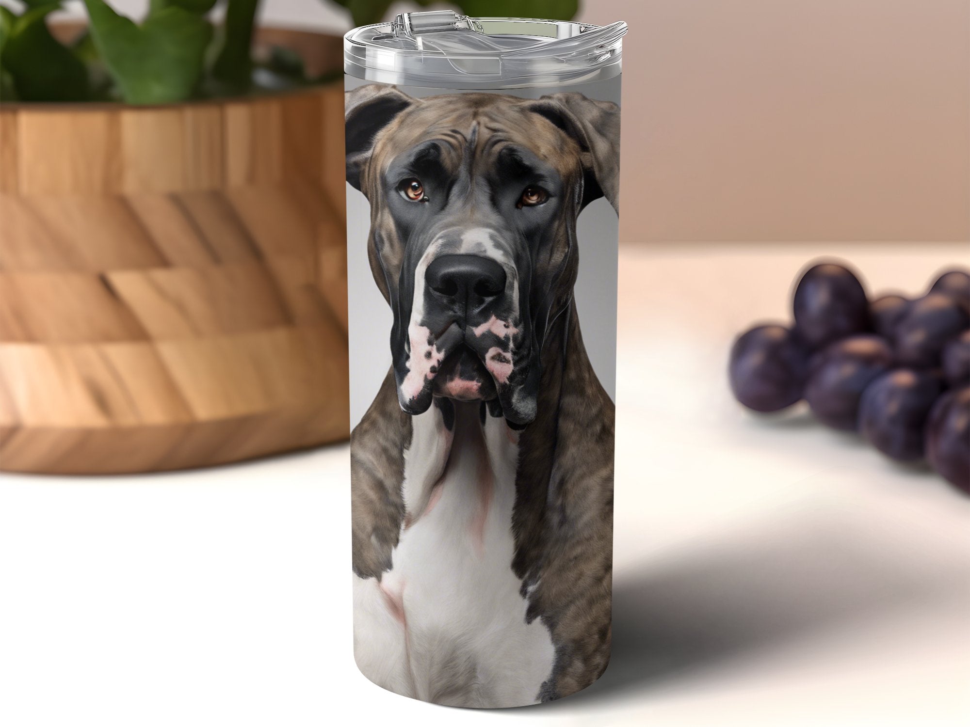 8c147a1b-ea72-43ed-8ba5-755d4ca402a0