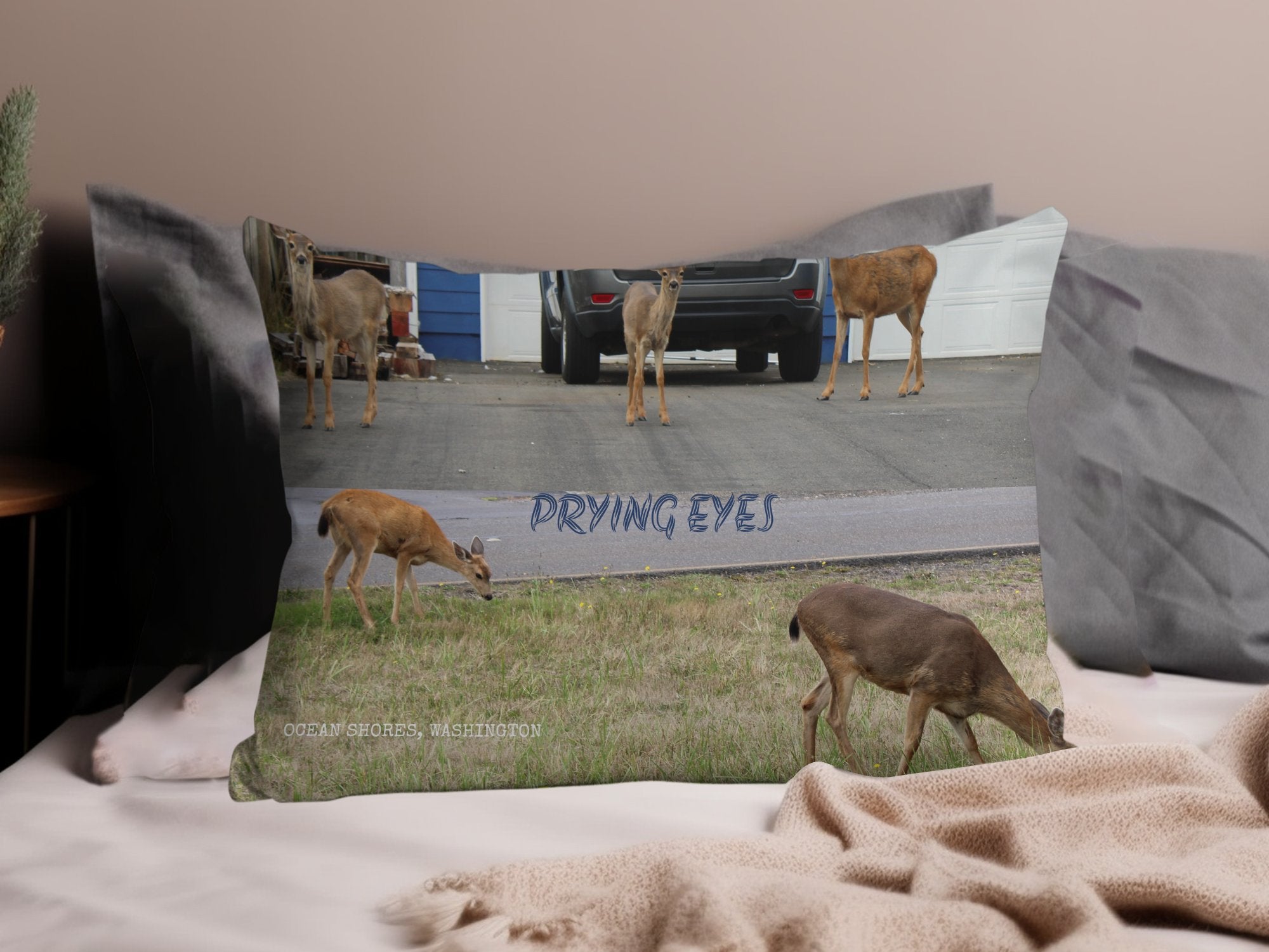 8c2eae6d-2927-4243-9365-3f3f118aa4ce