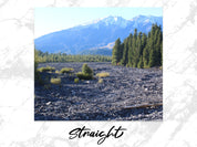 8c3a74c2-0c96-4bb8-9d5e-e394175bac41