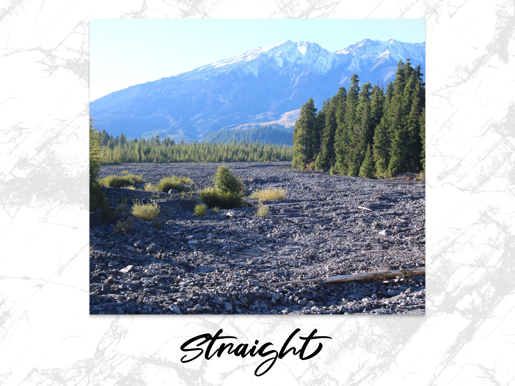 8c3a74c2-0c96-4bb8-9d5e-e394175bac41