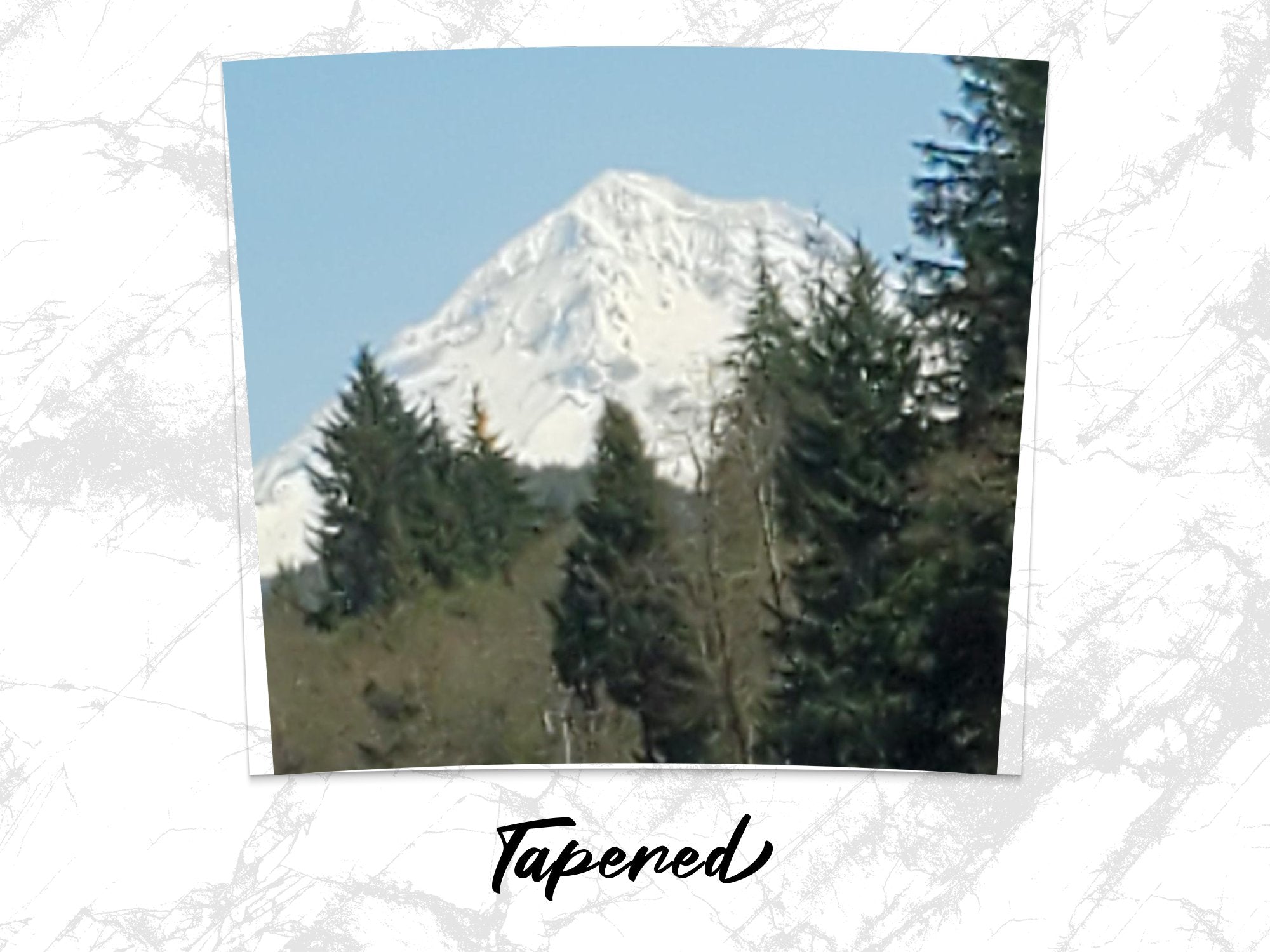 8c4ef3b1-792f-4ad8-a353-e590192bd568