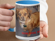 8c84a82f-8855-4abc-aa1e-38014cfa66ab