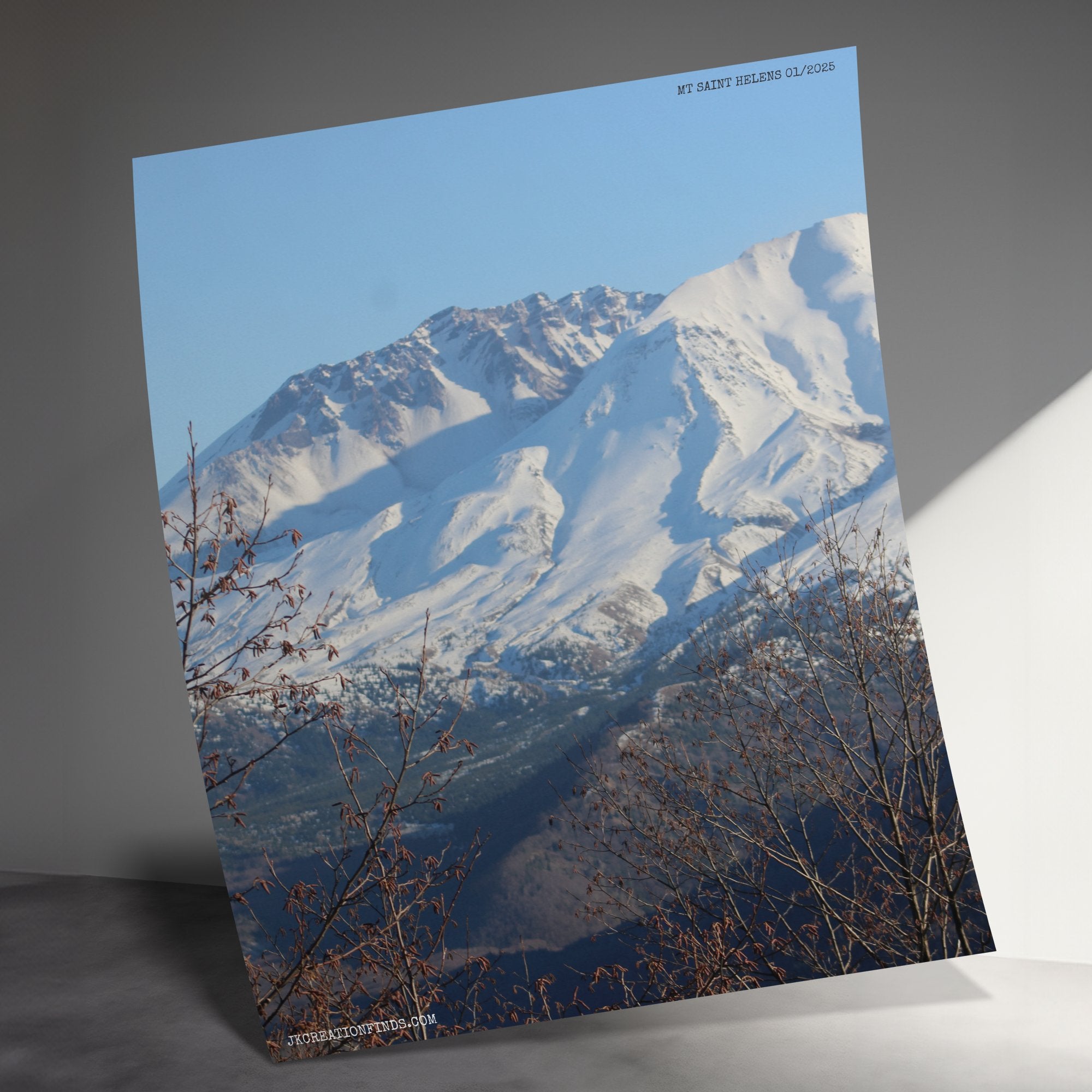 8c8f373d-cb6f-4a8c-af73-06e628f33089