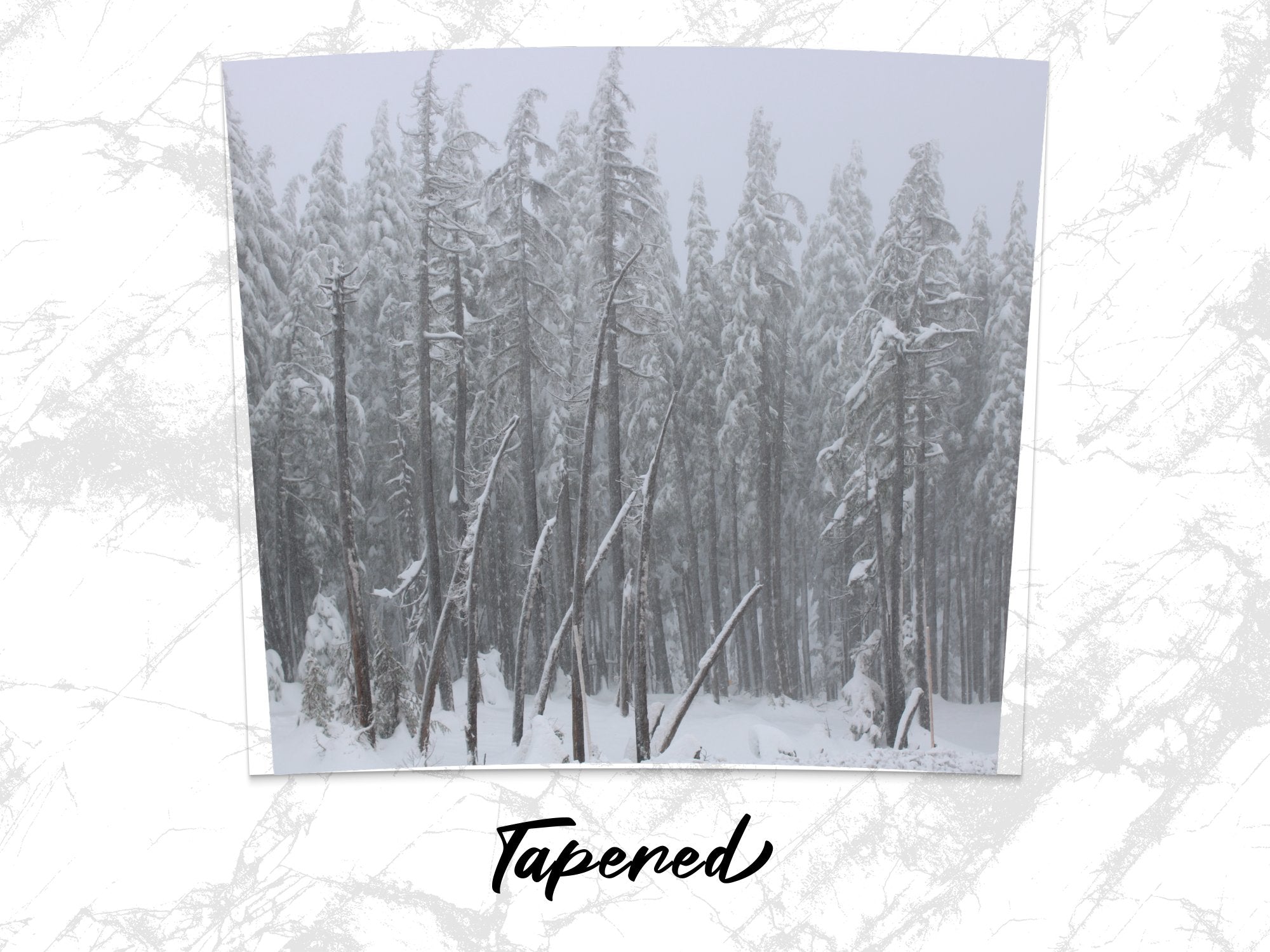 8cacc629-9e4a-461a-899d-6dc6b2fc09cc