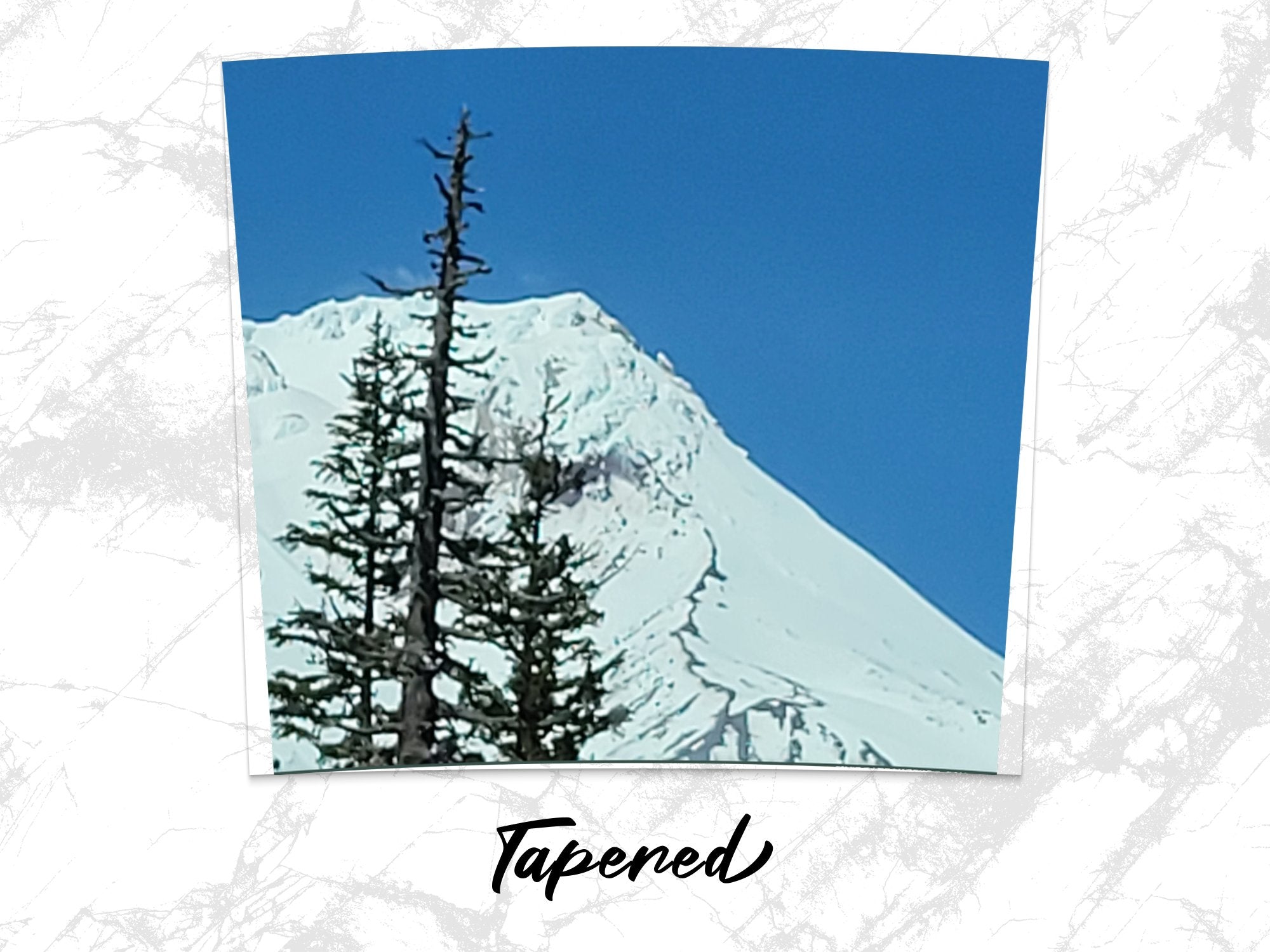 8d59a65b-6083-41c8-9d52-885b8ee766bb