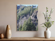 8d6aabac-f406-406f-8316-850cc12ccc8e