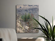 8e414751-d37b-488a-8ba9-6678a7411365