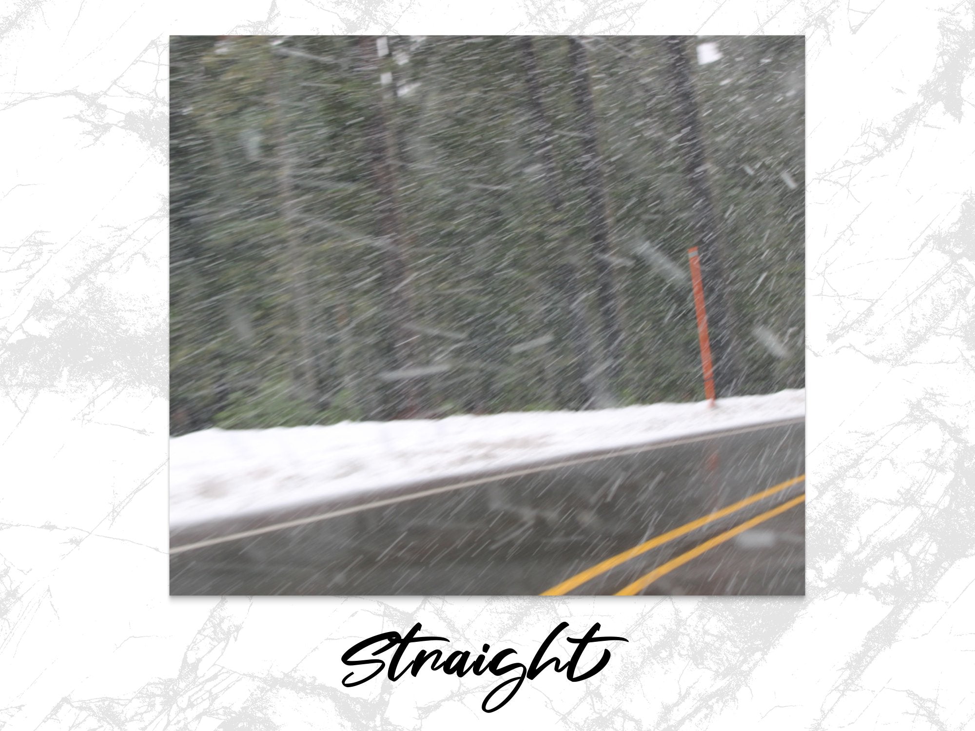 8ebff703-f456-466b-baa9-a0e8608d5267