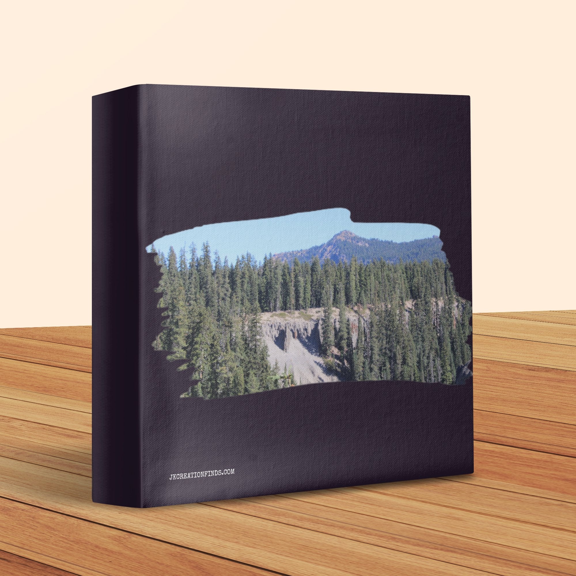 8ec0ce3f-74c9-4731-99a1-44f248456988