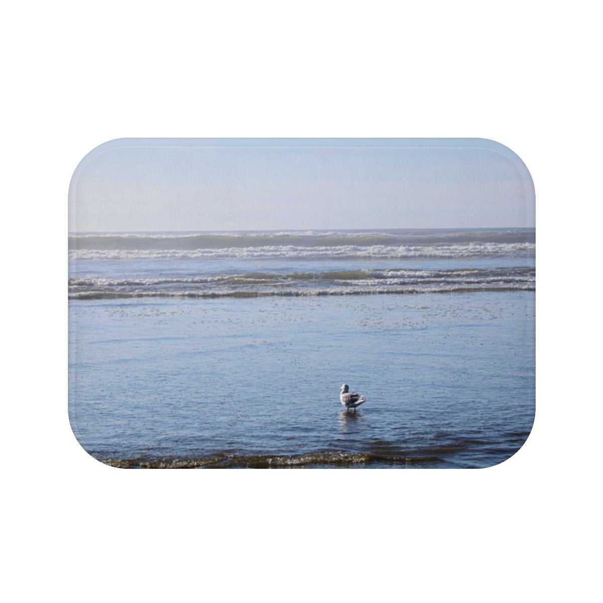 Seagull on Tranquil Ocean Shoreline Scene product