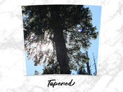 8f093945-466c-4c32-a3c9-227091e40434