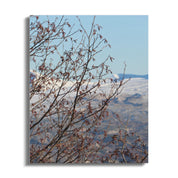 8f3b99d2-492f-48f7-beb8-bb83276a249e