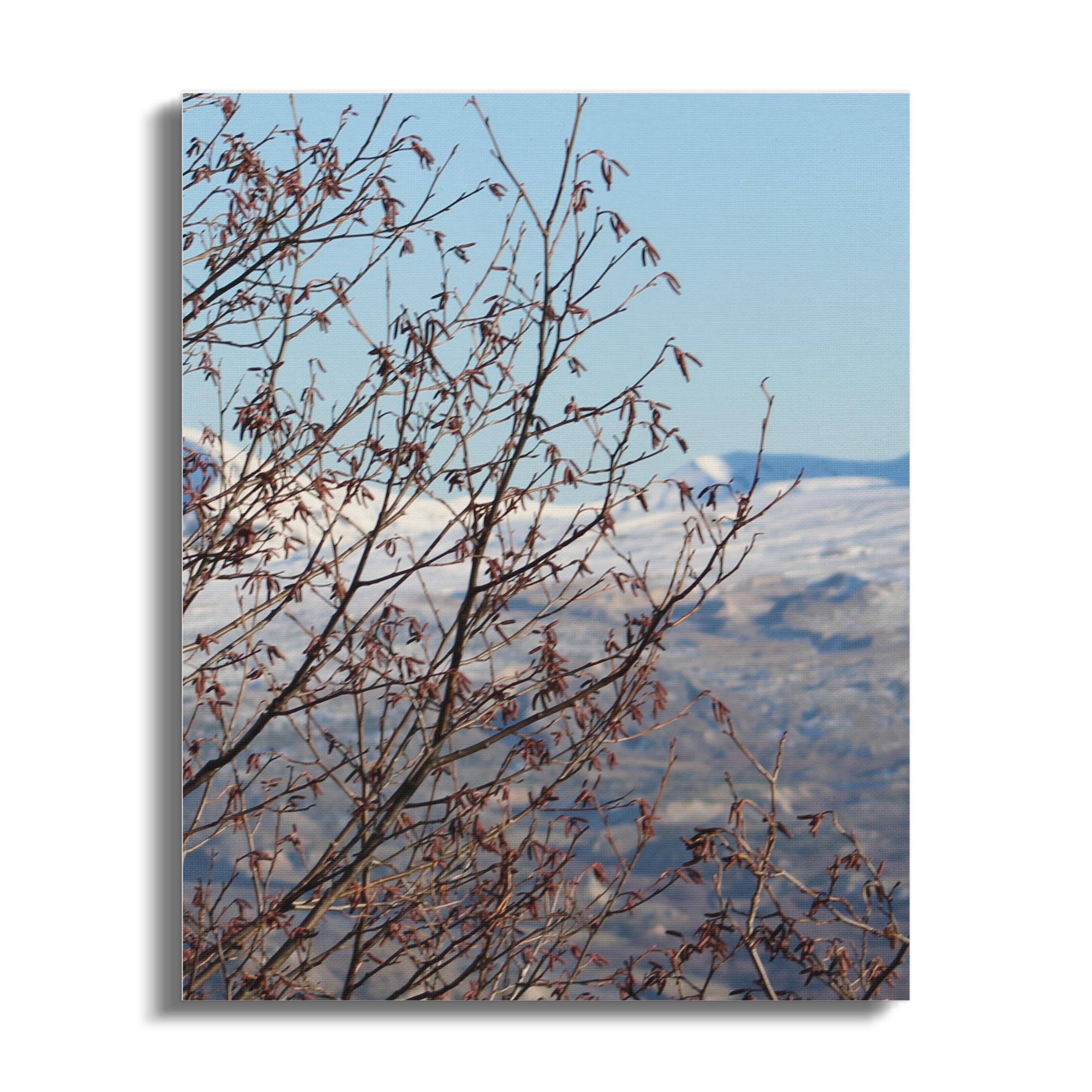 8f3b99d2-492f-48f7-beb8-bb83276a249e