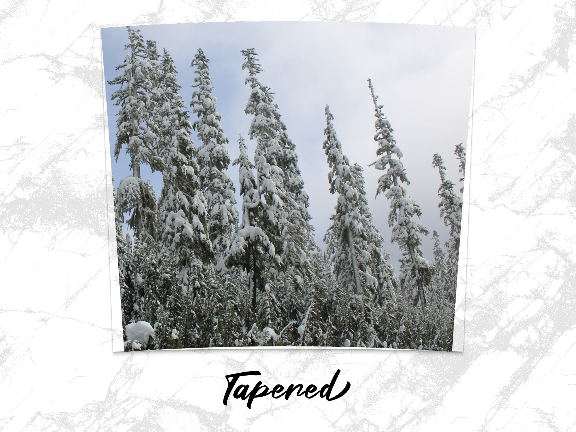 8f81fac0-caa5-4418-8287-529e43b2c629