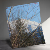 8fcaa042-53c3-474f-9ed0-050606af295e