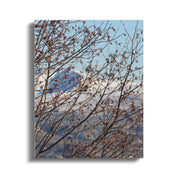 90171993-4234-4082-a2ed-1b38c590ddf9