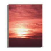 9021f502-c5bc-437e-8af2-900206f654f2