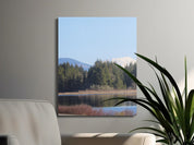 90ff94d4-0c86-4a74-9145-f087a9179e8f