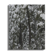 9146a26e-2339-4270-8a8e-c46fdc7fb13e