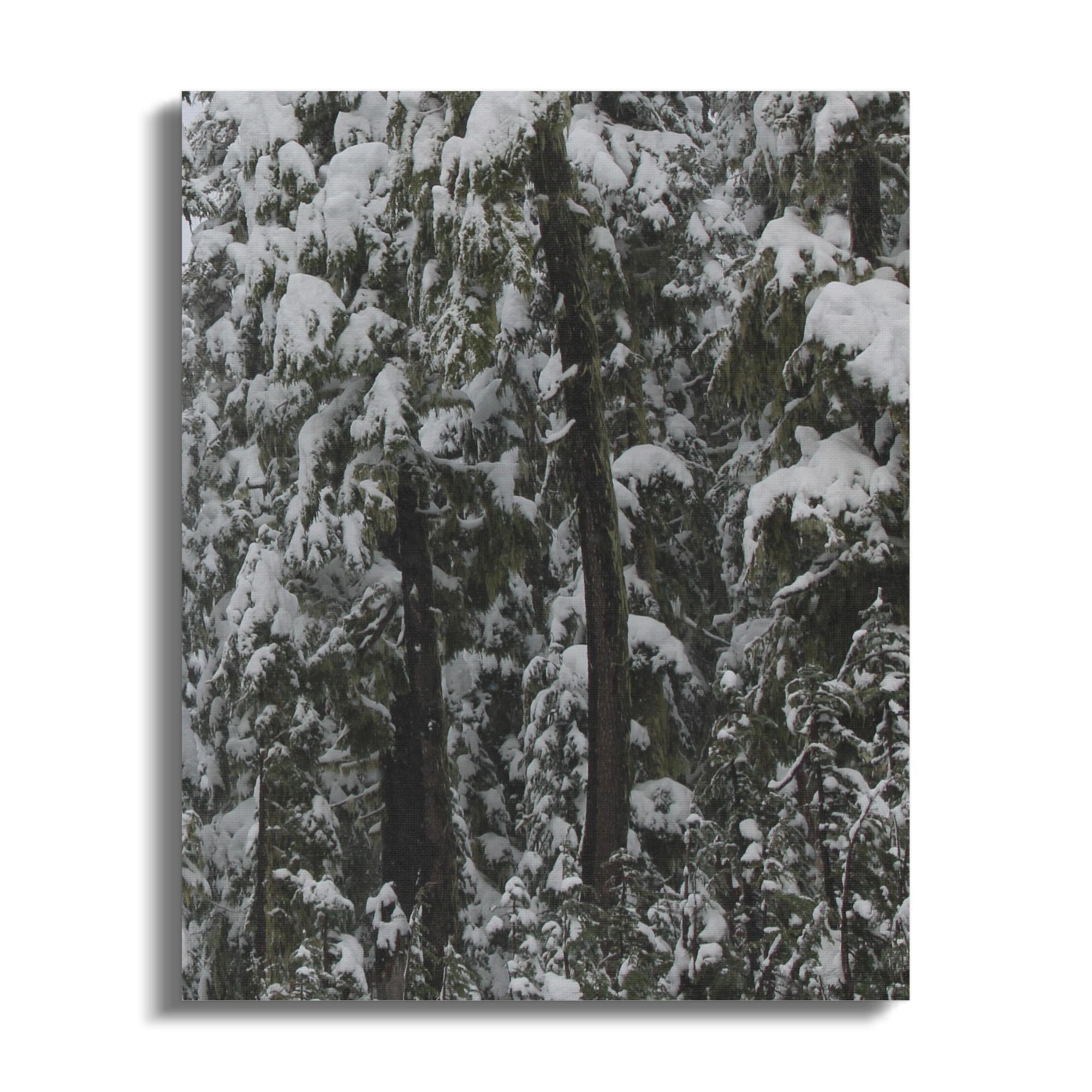 9146a26e-2339-4270-8a8e-c46fdc7fb13e