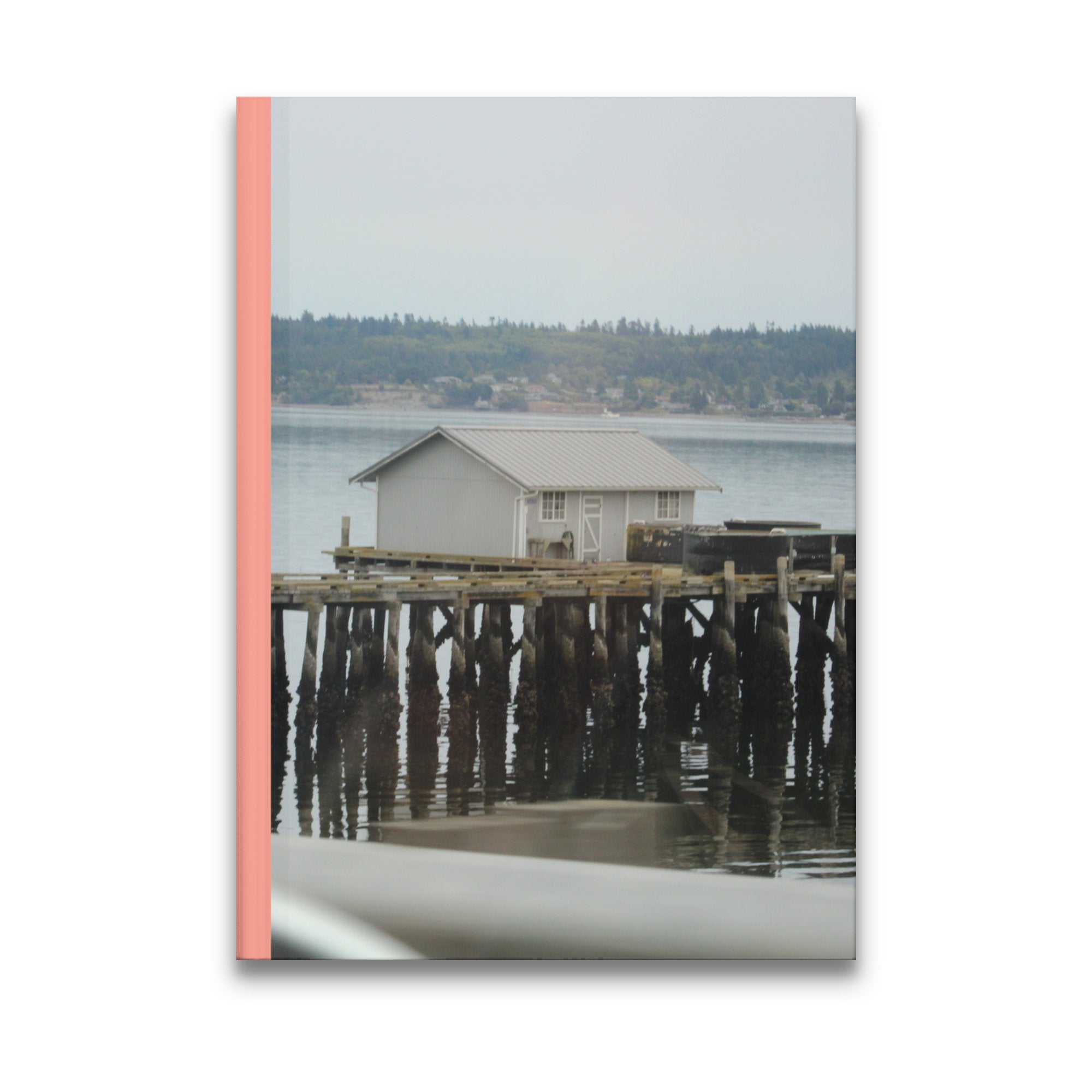 91561ffd-df9f-4198-a750-005857dd59a9