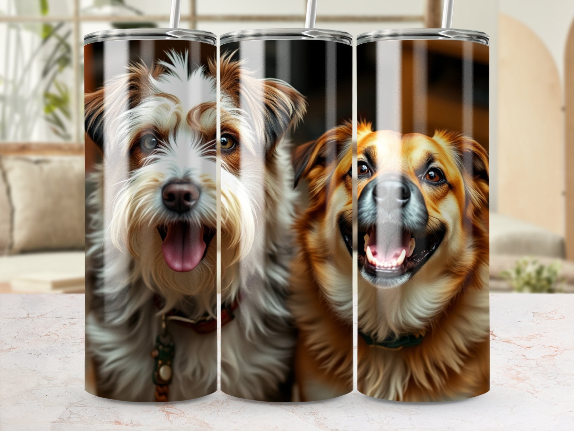 918b5c7c-9037-4cfd-87e3-407c0ca85ff0